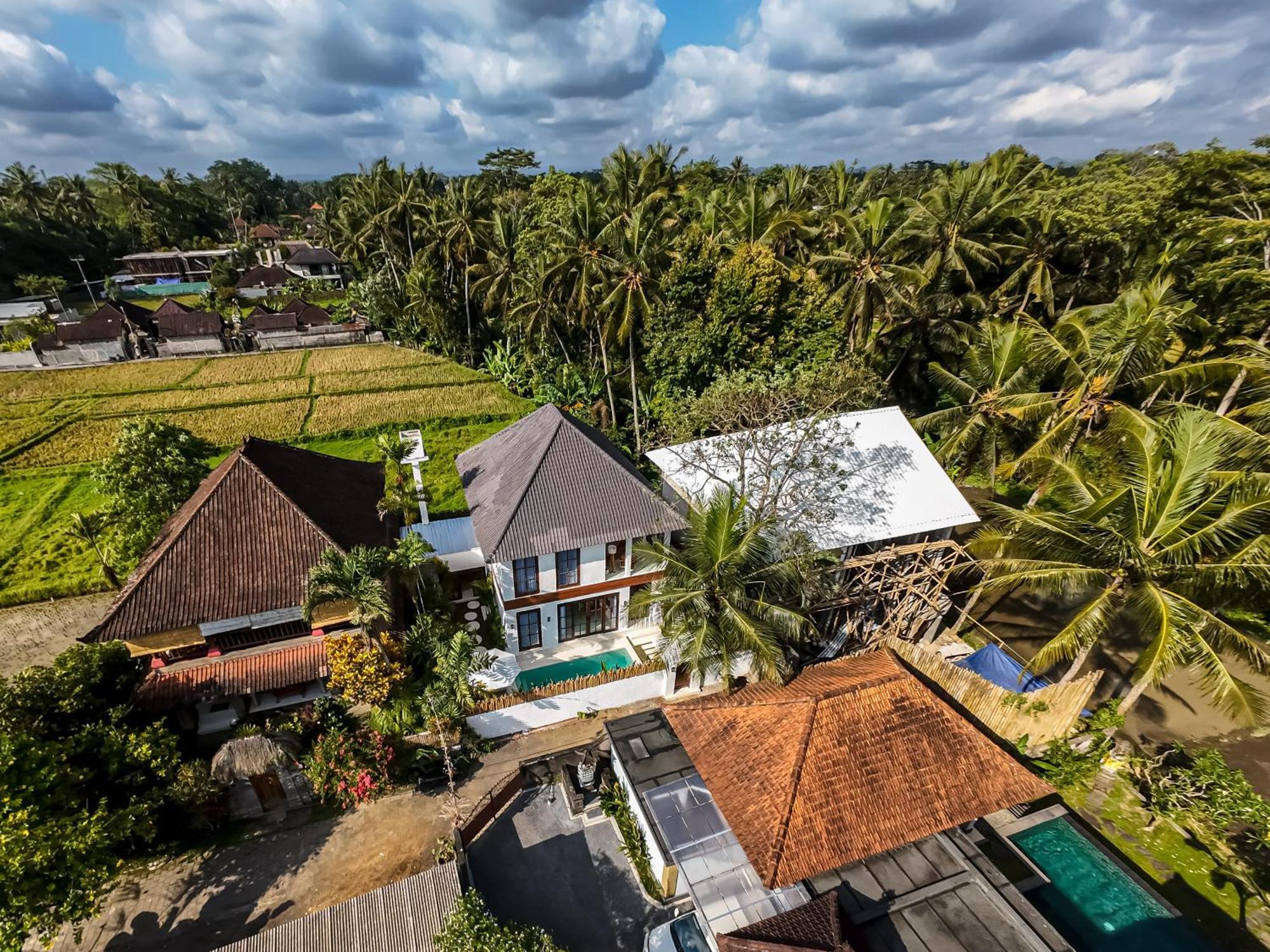 Villa Tropical Tribe By Evdekimi